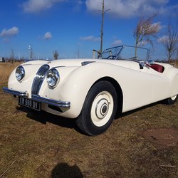 jaguar xk120 42.jpg